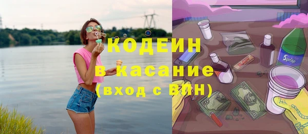 крисы Няндома