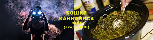 крисы Осташков