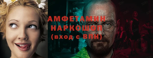 крисы Няндома