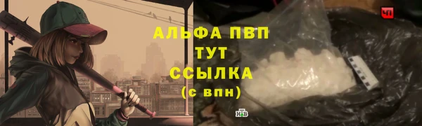 бошки Осинники