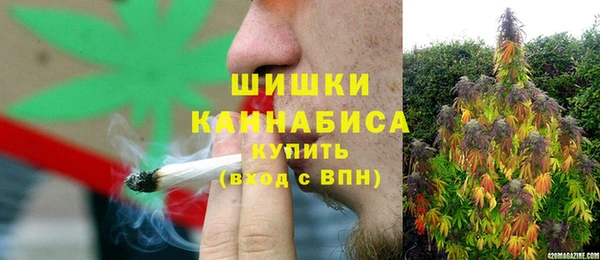 крисы Няндома