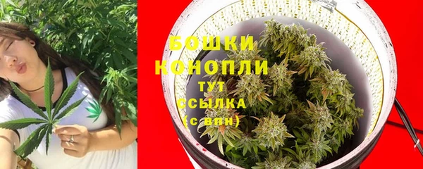 бошки Осинники