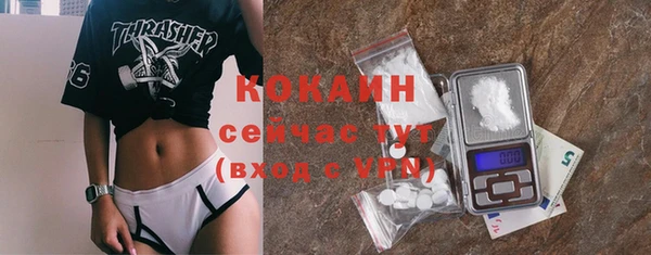 крисы Осташков