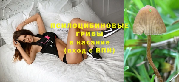 крисы Няндома